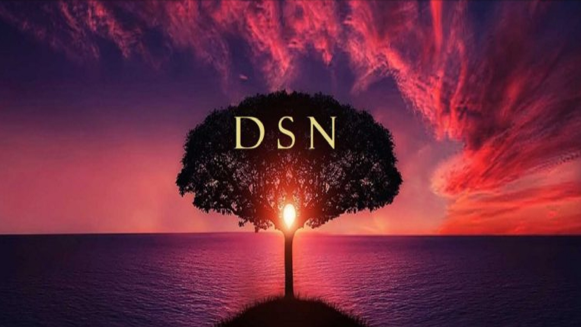 DSN Banner-Tree-Ocean 1920x1080